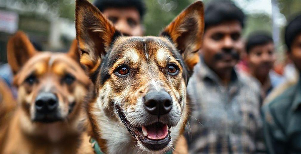 National and Global Updates: Protests, Accusations, Political Statements