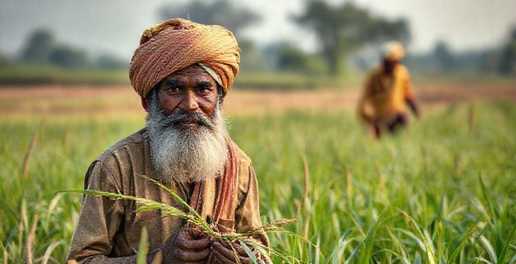Rabi Sowing Progress Reported in Yadgir District
