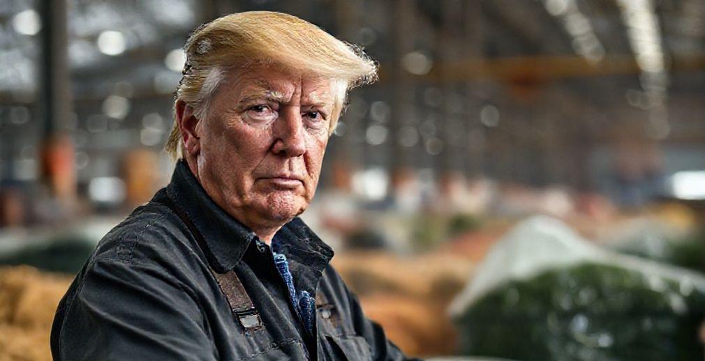 U.S. Trade Activity Shifts in August Following Tariff Implementation