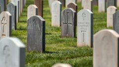 Australians buried in unmarked communal graves, investigation finds