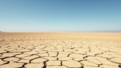 Central team reviews Mysuru drought, officials report significant crop and water loss