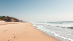 Three 14-year-old boys missing after being swept out to sea at Visakhapatnam beach